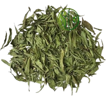 Stevia Leaves | 100% Natural Sugar-Free Sweetener | Herbal Stevia for Tea & Wellness