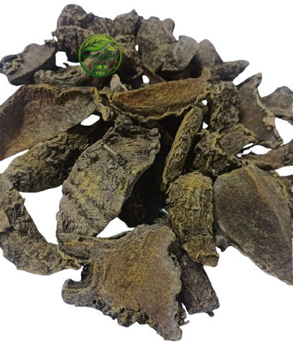 Amba Haldi (Curcuma aromatica) – Wild Turmeric Root | Kasturi Haldi | Premium Natural Dried Root
