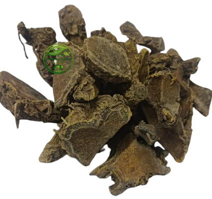 Amba Haldi (Curcuma aromatica) – Wild Turmeric Root | Kasturi Haldi | Premium Natural Dried Root