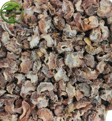 Amla (Phyllanthus emblica) – Indian Gooseberry | Natural Herbal Fruit