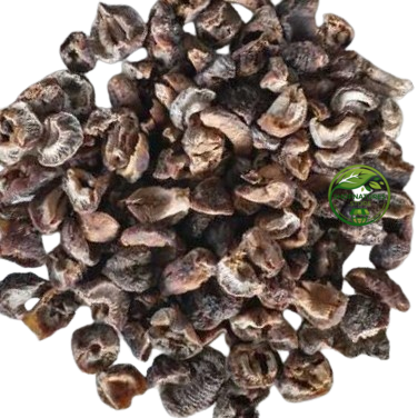 Amla (Phyllanthus emblica) – Indian Gooseberry | Natural Herbal Fruit
