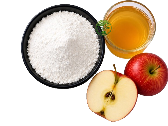 Apple Cider Vinegar Powder (Malus domestica) – ACV Powder | Premium & Natural Fine Powder