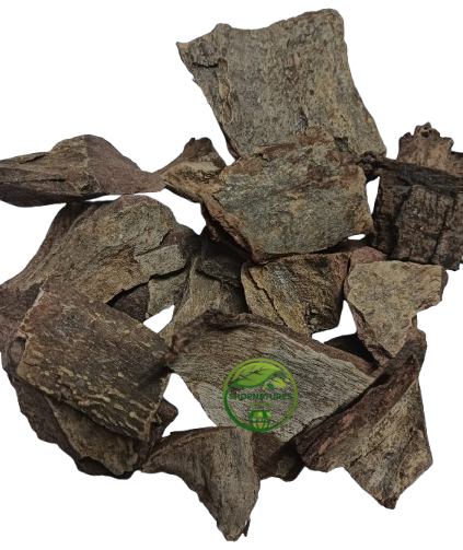 Arjuna Bark (Terminalia arjuna) – Arjuna Chaal | Arjun Chhal | Premium Natural Dried Bark