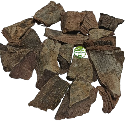 Arjuna Bark (Terminalia arjuna) – Arjuna Chaal | Arjun Chhal | Premium Natural Dried Bark