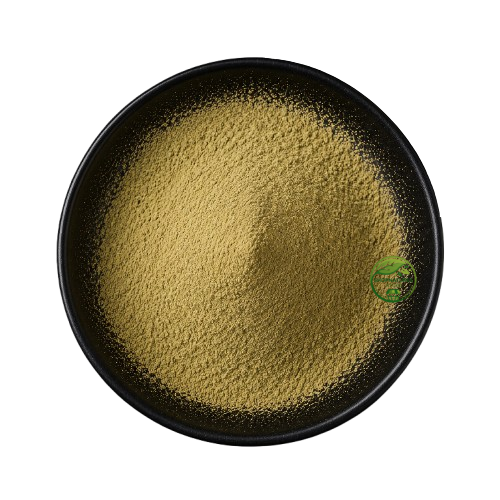 Avocado Extract Powder (Persea americana) – Avocado Fruit Extract