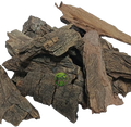 Babul Bark (Vachellia nilotica) – Kikar Chaal | Babool Bark | Babool Chhal | Premium Natural Bark