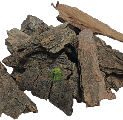 Babul Bark (Vachellia nilotica) – Kikar Chaal | Babool Bark | Babool Chhal | Premium Natural Bark