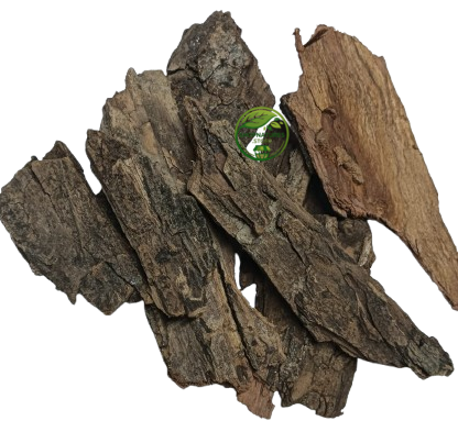 Babul Bark (Vachellia nilotica) – Kikar Chaal | Babool Bark | Babool Chhal | Premium Natural Bark