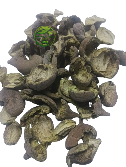 Baheda Peel (Terminalia bellirica) – Baheda Chilka – 100% Natural Dried Herbal Peel