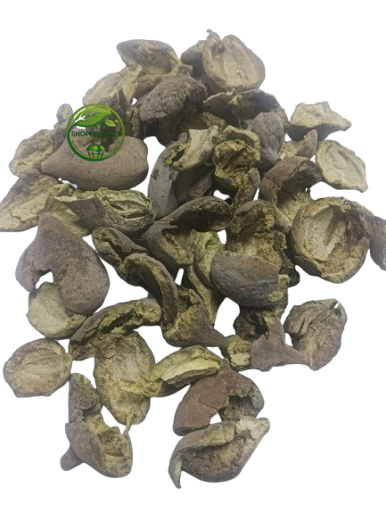 Baheda Peel (Terminalia bellirica) – Baheda Chilka – 100% Natural Dried Herbal Peel