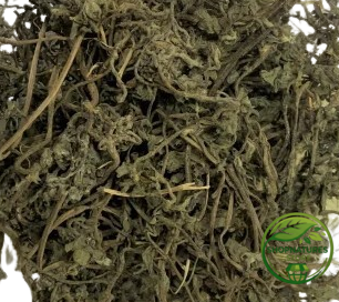 Bhringraj Leaves - (Eclipta Alba) | 100% Natural Herbal Leaves