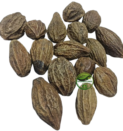 Big Harad (Terminalia chebula) – Haritaki | Harad Badi Pili | Yellow Harad | Premium Natural Whole Fruit
