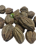 Big Harad (Terminalia chebula) – Haritaki | Harad Badi Pili | Yellow Harad | Premium Natural Whole Fruit