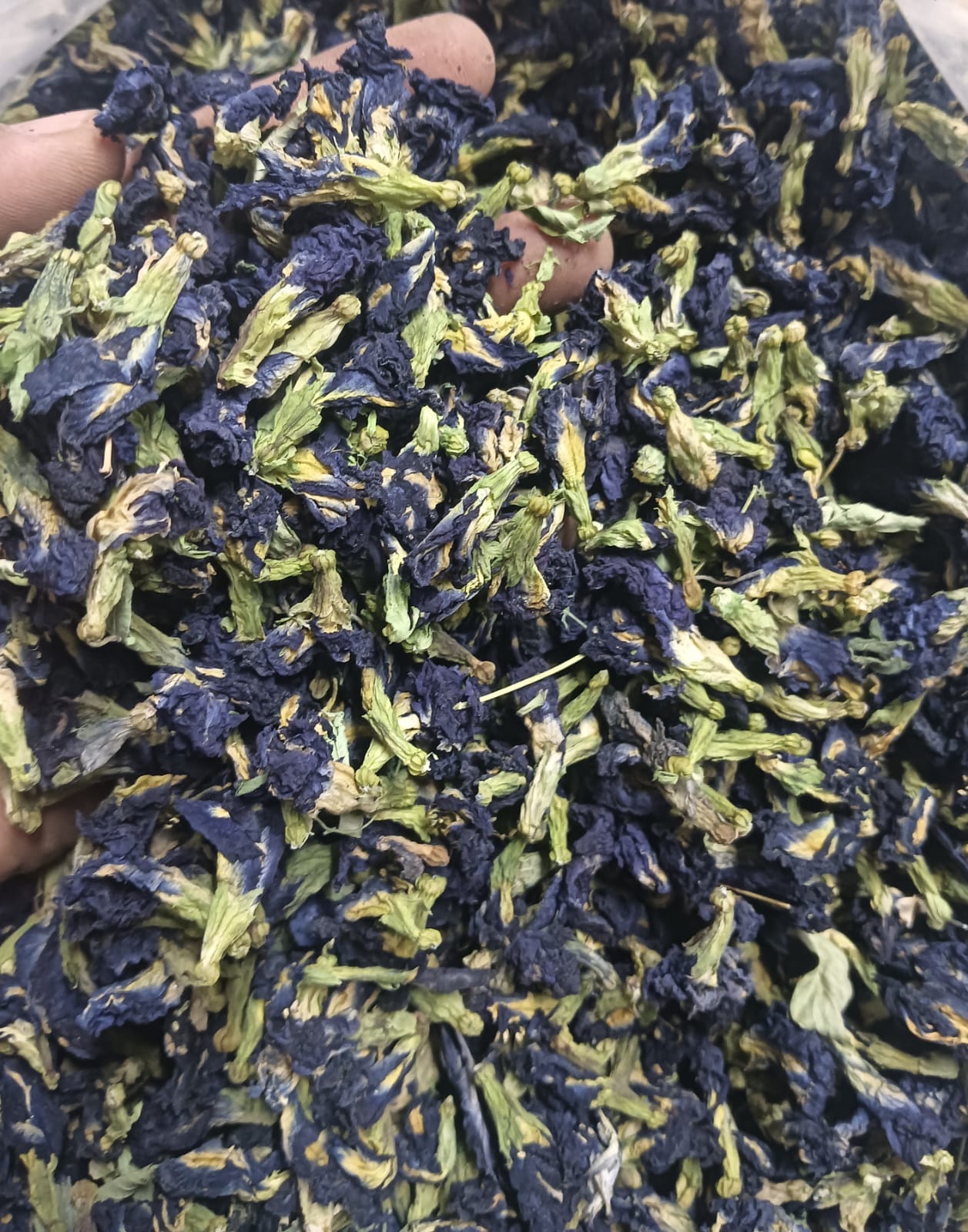 Butterfly Pea Flower (Aprajita) Whole | Blue Tea | Clitoria Ternatea | Natural Herbal Tea