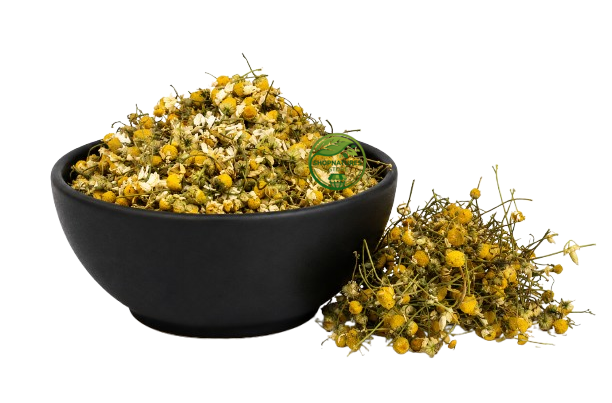 Chamomile Tea (Matricaria chamomilla) – German Chamomile Herbal Tea | 100% Natural