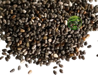 Chia Seeds (Salvia hispanica) – Premium Raw Chia Seeds | Natural Seeds