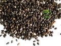 Chia Seeds (Salvia hispanica) – Premium Raw Chia Seeds | Natural Seeds