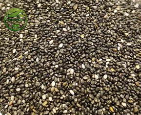 Chia Seeds (Salvia hispanica) – Premium Raw Chia Seeds | Natural Seeds