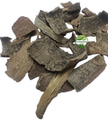 Conessi Bark (Holarrhena antidysenterica) – Kuda Chhal | Kutaj Chaal | Sakra Bark | Sakra Bark | Premium Natural Bark