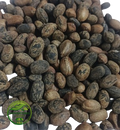 Jamalghota Seed (Croton tiglium) – Croton Seeds – Nepala Seeds | Botanical Specimen / Research & Traditional Use Raw Material