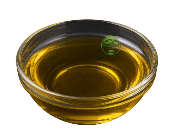 Croton Oil (Croton tiglium) – Jamalghota Seed Oil | Premium Botanical Oil