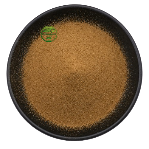 Croton Seed Extract Powder (Croton tiglium) – Jamalghota Seed Extract | Nepala Seed Botanical Extract Powder
