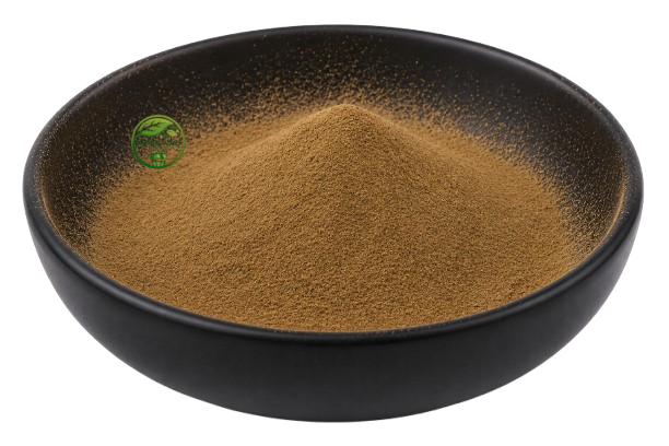 Croton Seed Extract Powder (Croton tiglium) – Jamalghota Seed Extract | Nepala Seed Botanical Extract Powder