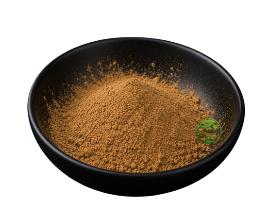 Croton Seed Powder (Croton tiglium) – Jamalghota Seed Powder | Nepala Seed Powder | Botanical Powder