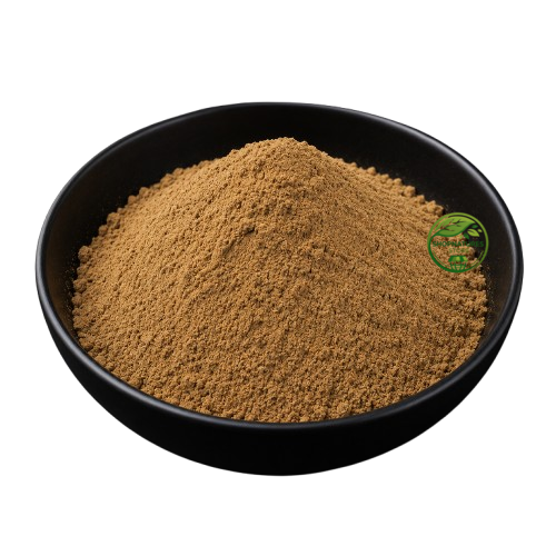Croton Seed Powder (Croton tiglium) – Jamalghota Seed Powder | Nepala Seed Powder | Botanical Powder