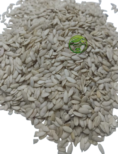 Cucumber Seeds (Cucumis sativus) – Kheera Beej | Khira Seeds | Premium Natural Seeds