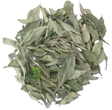 Curry Leaf (Murraya koenigii) – Kari Patta – Premium Dried Curry Leaves | Natural Botanical Herb