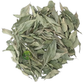 Curry Leaf (Murraya koenigii) – Kari Patta – Premium Dried Curry Leaves | Natural Botanical Herb