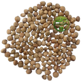 Curry Leaf Seeds (Murraya koenigii) – Kadi Patta Seeds | Premium Natural Seeds