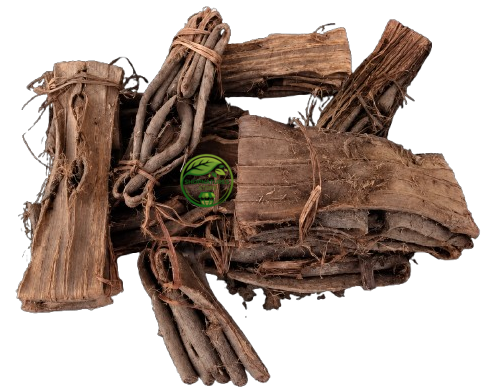 Dandasa (Juglans regia) – Datoon | Walnut Tree Peel | Datun | Premium Natural Bark