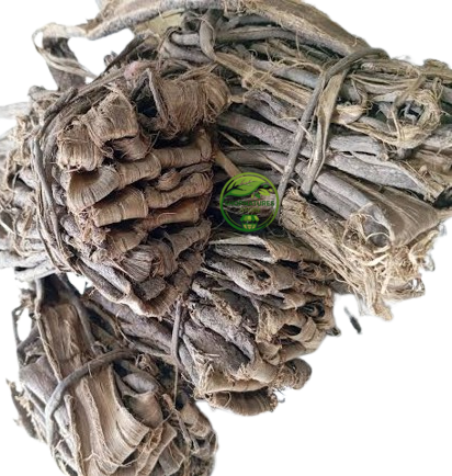 Dandasa (Juglans regia) – Datoon | Walnut Tree Peel | Datun | Premium Natural Bark