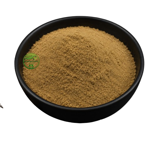 Fever Nuts Powder (Caesalpinia bonducella) – Sagar Goti Powder | Kat Karanj Herbal Seed Powder | Premium Natural Herbal Powder