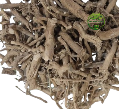 Punarnava (Boerhavia diffusa) – Sathi Jad | Punarva | Punarnava Root | Premium Natural Root