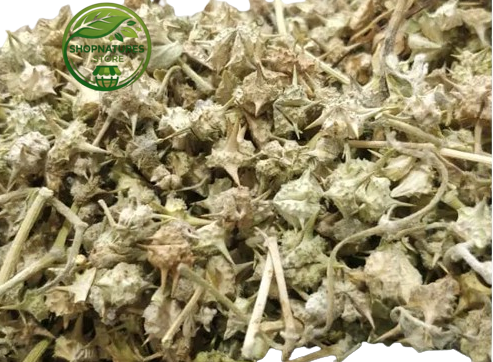 Gokhru (Small) – (Tribulus terrestris) – Chota Gokhru | Premium Natural Dried Fruit
