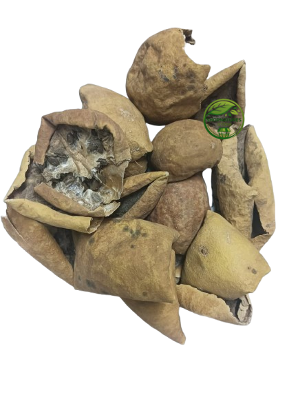 Indrayan Fruit (Citrullus colocynthis) – Bitter Apple – 100% Natural Dried Herbal Fruit