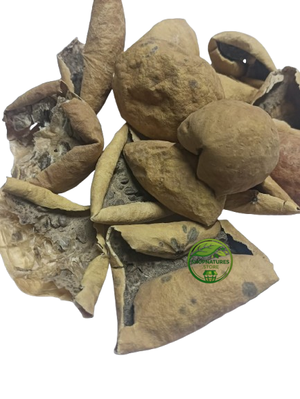 Indrayan Fruit (Citrullus colocynthis) – Bitter Apple – 100% Natural Dried Herbal Fruit