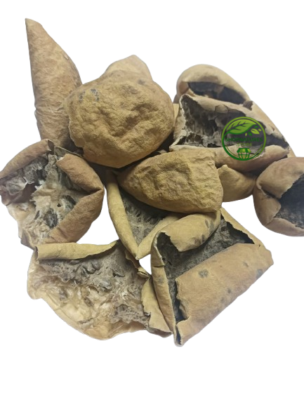 Indrayan Fruit (Citrullus colocynthis) – Cut Pieces – Bitter Apple – 100% Natural Dried Herbal Fruit