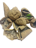 Indrayan Fruit (Citrullus colocynthis) – Cut Pieces – Bitter Apple – 100% Natural Dried Herbal Fruit