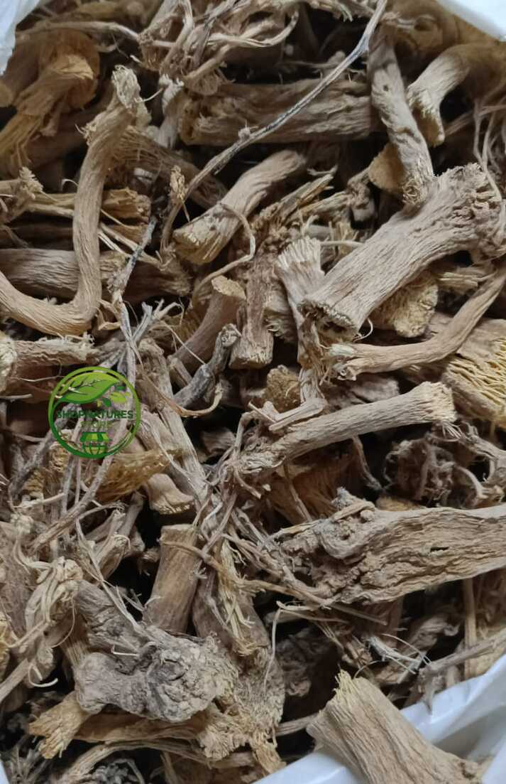 Indrayan Root (Citrullus colocynthis) – Indrain Jadd | Indrayun | Bitter Apple | Premium Natural Root