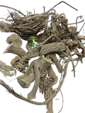 Indrayan Root (Citrullus colocynthis) – Indrain Jadd | Indrayun | Bitter Apple | Premium Natural Root