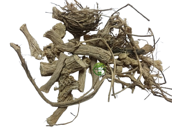 Indrayan Root (Citrullus colocynthis) – Indrain Jadd | Indrayun | Bitter Apple | Premium Natural Root