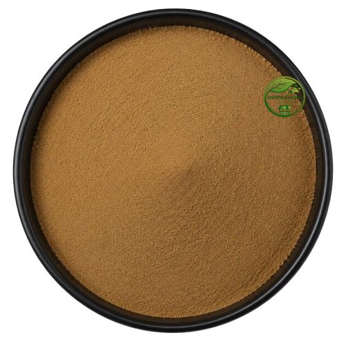 Indrayan Fruit Extract Powder (Citrullus colocynthis) – Bitter Apple Extract | Standardized Herbal Extract Powder