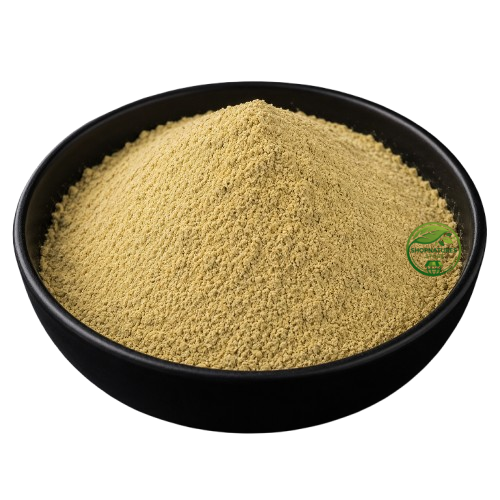Indrayan Fruit Powder (Citrullus colocynthis) – Bitter Apple Powder | 100% Natural Dried Herbal Fruit Powder