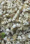 Jasmine Flower (Jasminum grandiflorum) – Chameli Flower – 100% Natural Dried Jasmine Flowers