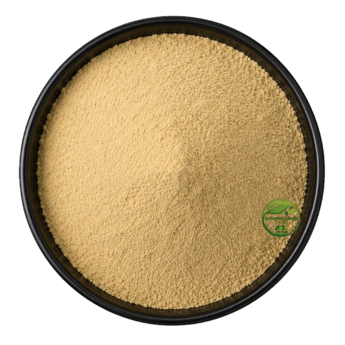 Jasmine Flower Powder (Jasminum grandiflorum) – Chameli Flower Powder | 100% Natural Dried Flower Powder