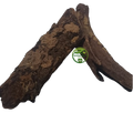 Kaiphal Bark (Myrica esculenta) - Whole - 100% Natural Kaifal Chhal | Herbal Bark